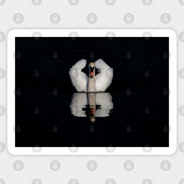 Swan on Black Sticker by Shirasaya